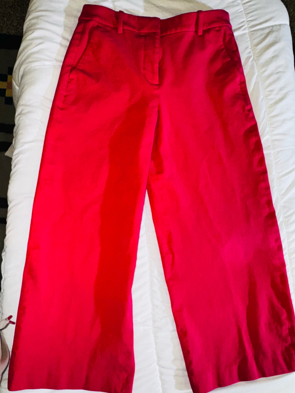 J. Crew Hot Pink Pants